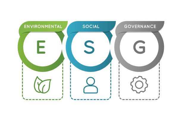 ESG: o que significa e sua importância para as empresas