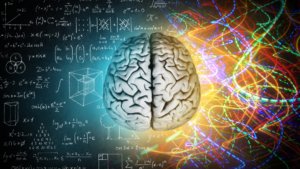 Neuroplasticidade e a Educação