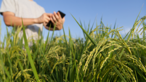 Engenharia no Agronegócio